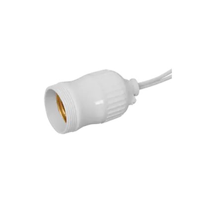 SOQUETE C/ RABICHO 2A 250V~ BR